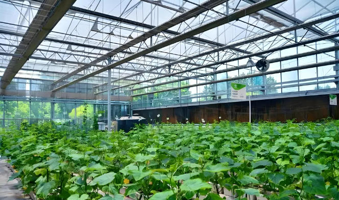 智慧农业监测系统